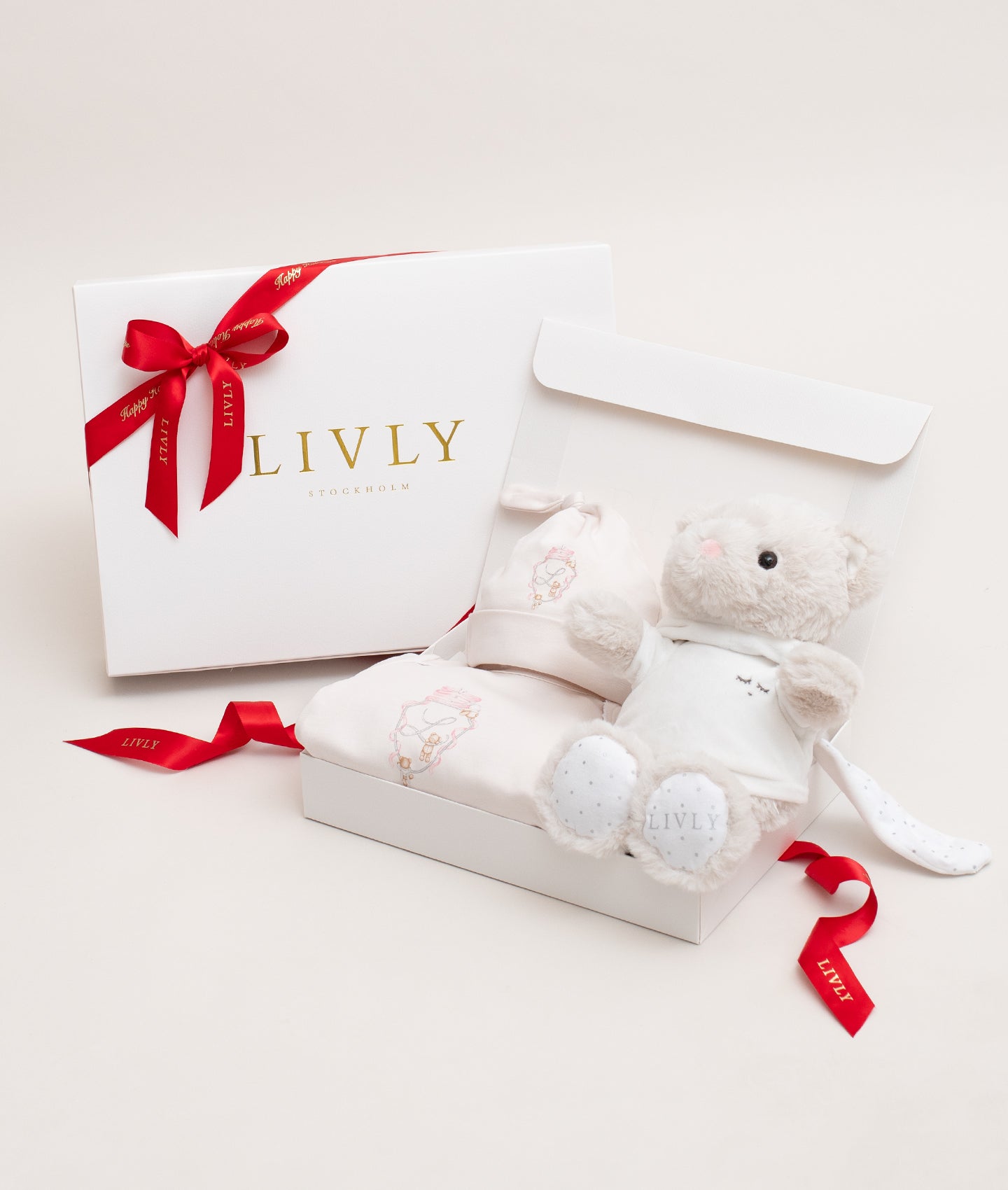 Teddy Tay Baby Kit