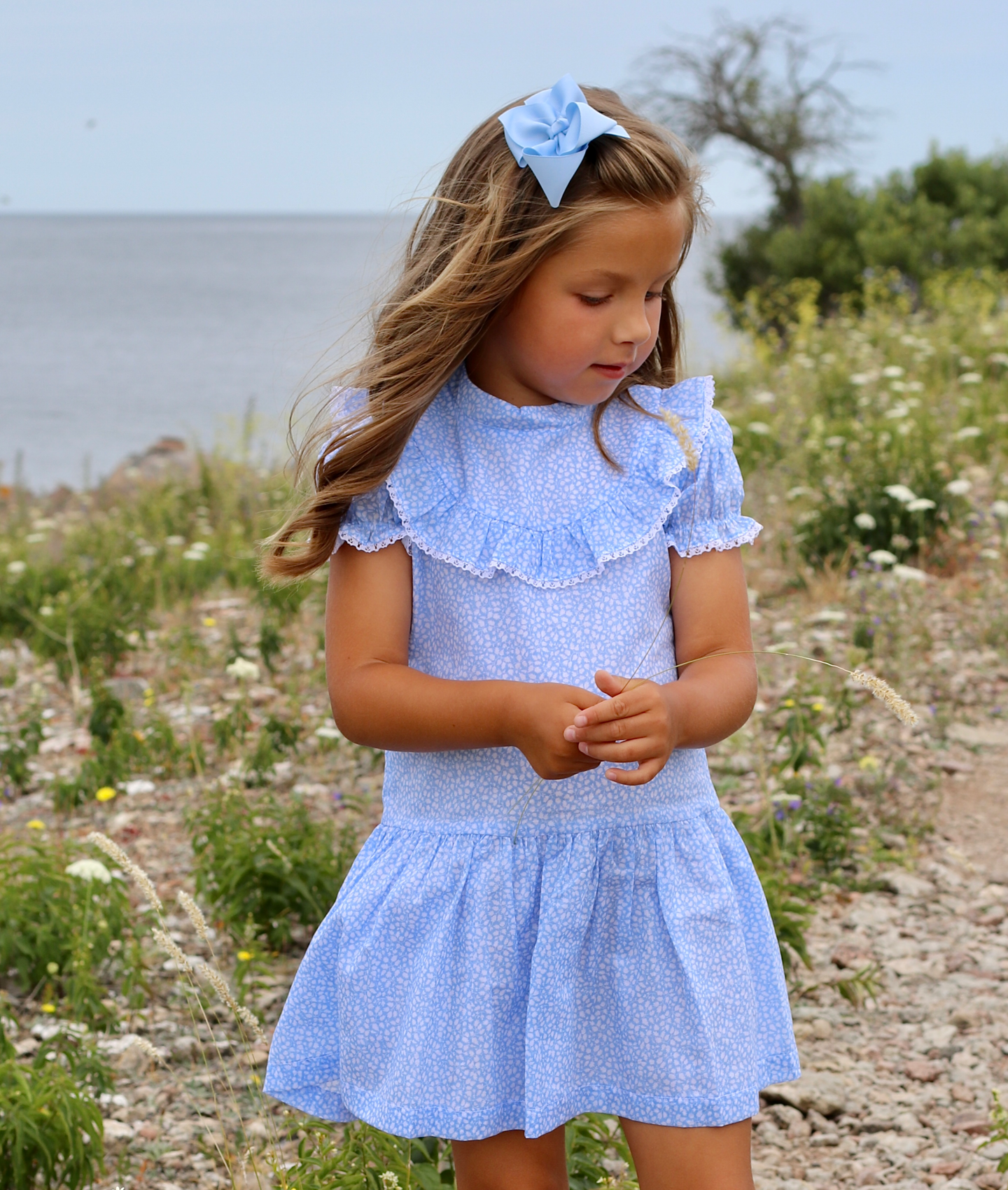 Short Sleeve Lace Dress